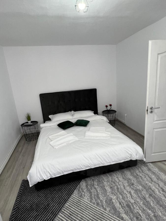 Blue Alpin Straja Apartman Vulkán Kültér fotó
