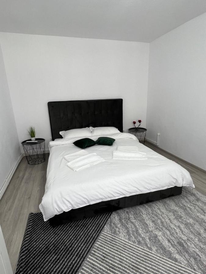 Blue Alpin Straja Apartman Vulkán Kültér fotó