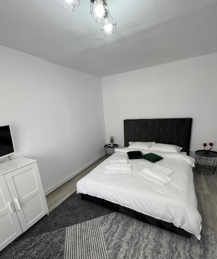 Blue Alpin Straja Apartman Vulkán Kültér fotó